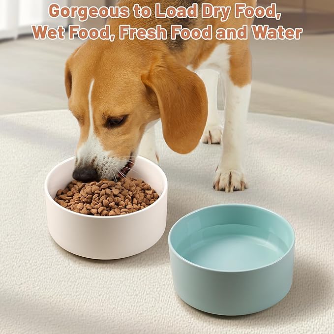 Kitwinney Non Slip Dog Bowls, Heavy Ceramic Dog Food and Water Bowl with Silicone Base, Pet Feeding Bowl for Puppies, Small and Medium Dogs (Glossy White, 6 Inches)