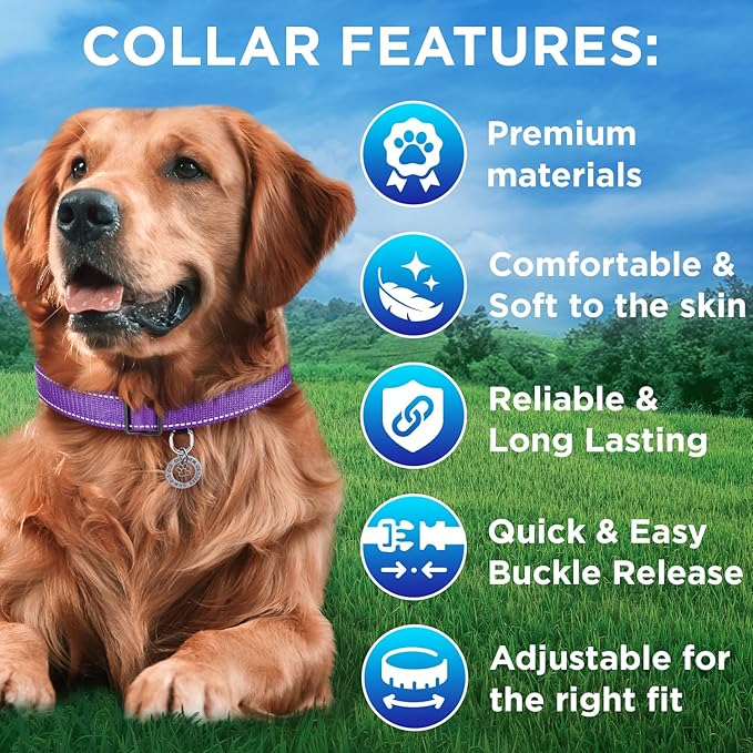 TECEUM Reflective Dog Collar – Purple – XL – Basic Nylon Pet Collar – Quick Release Buckle – Fits Small, Medium and Large Dogs, Puppies, Cats – ESA & Service Dog Options