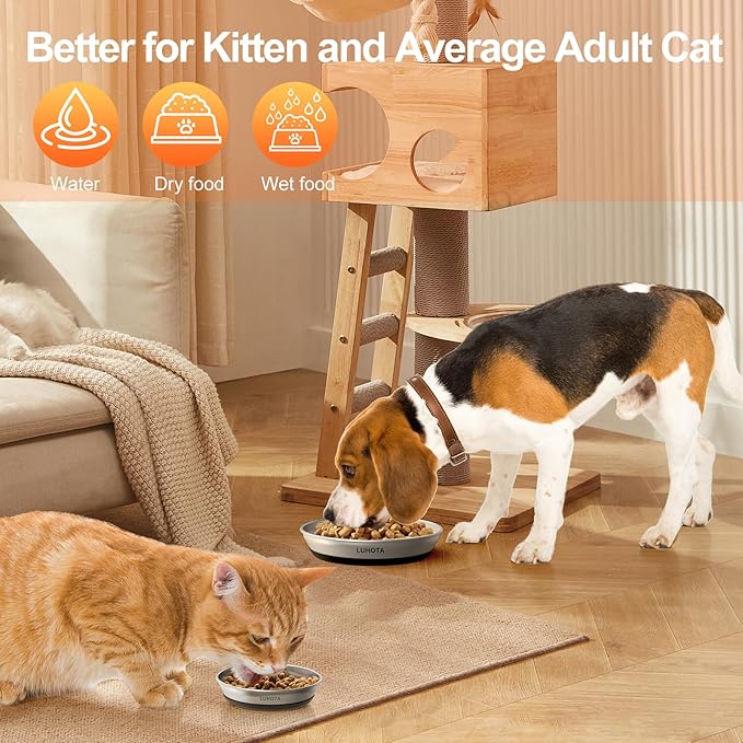 Cat Bowls, 2 Pcs 304 Stainless Steel Cat Bowls for Food and Water with Whisker-Friendly Shallow Design and Non-Slip Silicone Base, Perfect for Cats & Small Dogs