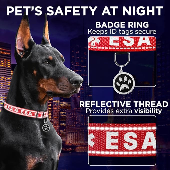 TECEUM Reflective Pet Collar – Red - ESA – L – Basic Nylon Dog Collar – Quick Release Buckle – Fits Small, Medium and Large Dogs, Puppies, Cats – ESA & Service Dog Options