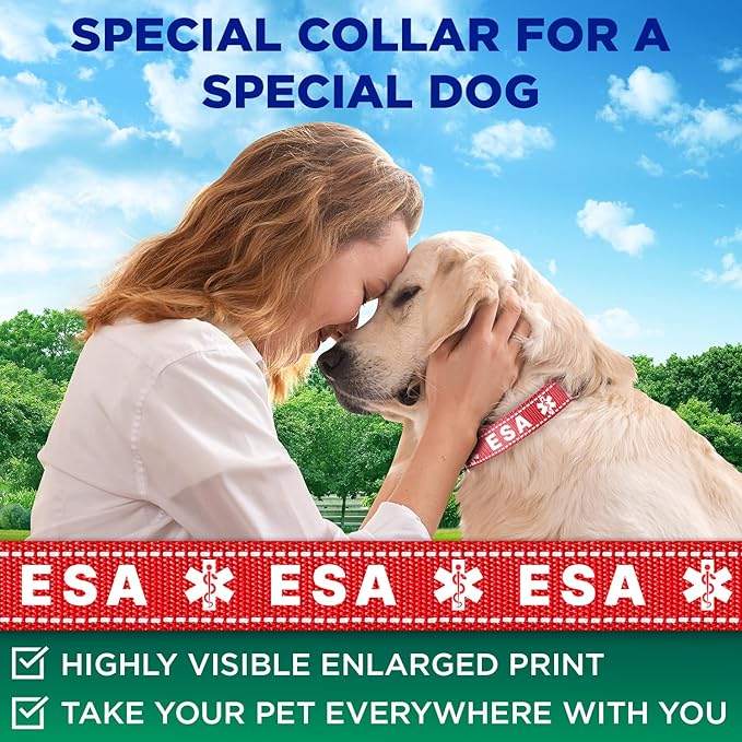 TECEUM Reflective Pet Collar – Red - ESA – XS – Extra Soft Padding – Basic Nylon Dog Collar – Quick Release Buckle – Fits Small, Medium and Large Dogs, Puppies, Cats – ESA & Service Dog Options