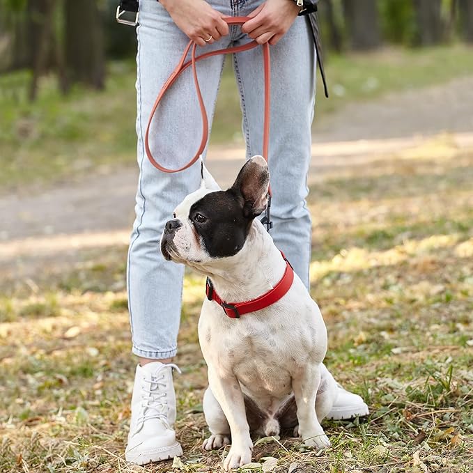 Dogline Biothane Waterproof Dog Leash Strong Coated Nylon Webbing with Black Hardware Odor-Proof Easy to Clean High Performance for Small or Large Dogs Made in USA 4 or 6 ft Lead, Coral