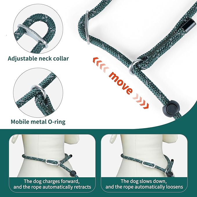 Dog Slip Lead Dog Leash, Heavy Duty No-Pull Training Leash w/Poop Bag Holder, Anti-Tangle, Multi-Handles & Reflective Thread for Small, Medium Dogs 4FT Orange