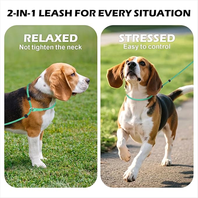 6FT Slip Lead Dog Leash with Double Padded Handle, Anti-Tangle Slip Leads for Dogs, Reflective Nylon No-Pull Training Leash for Small Medium Dogs, Turquoise
