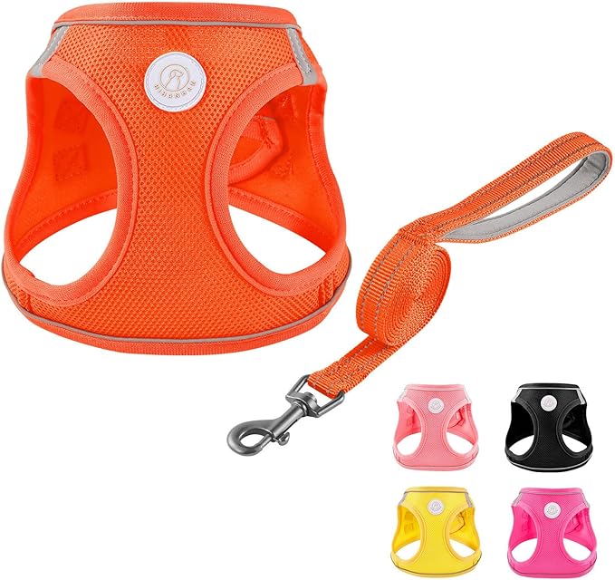 Soft Mesh Dog Harness and Leash Set, No Pull Puppy Harness and Leash Set, Reflective Step in Harness for Small Medium Dogs, Easy Walk Escape Proof Vest Harnesses (Orange, S)