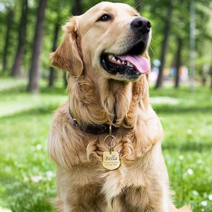 Anavia Personalized Pet ID Tags, Stainless Steel Glossy Laser Engraved Dog Cat Collar Name Tags, Multiple Colors Shapes Sizes (Badge, Regular)