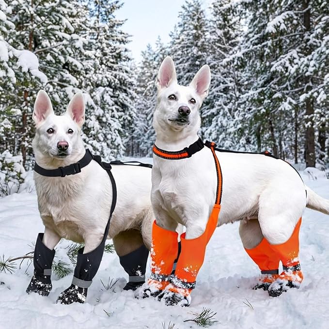 Dog Suspender Boots, Anti-Slip & Fall Waterproof Dog Shoes Leggings, Dog Paw Protector for Small Medium Dogs, Adjustable Dog Boots Pet Shoes for Outdoor Walking Orange,S
