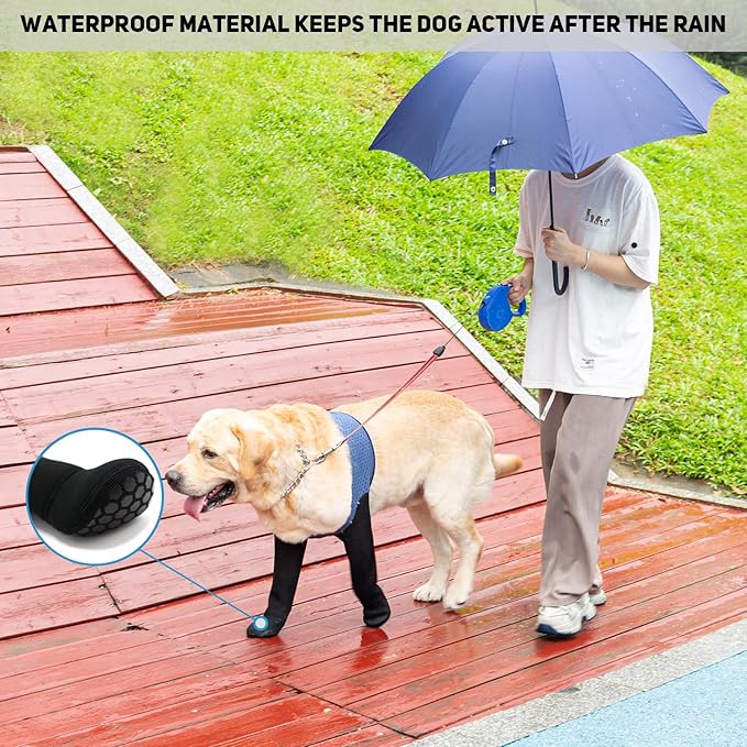 COODEO Dog Socks & Paw Protectors - Front Paws Only, Non-Slip Waterproof Dog Boots to Prevent Paw Licking, Protect Wounds & Aids Post-Surgery Recovery (Blue, M)