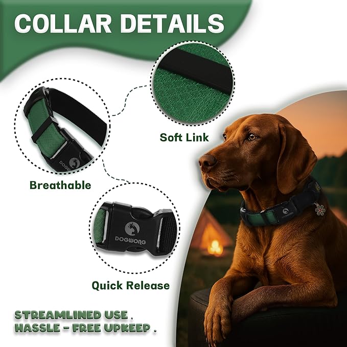 DOGWONG LED Dog Collar - Heavy Duty Light up Collars - Rechargeable Waterproof - Lighted Dog Collar for Night Walking, Hiking, Camping(Green,M)