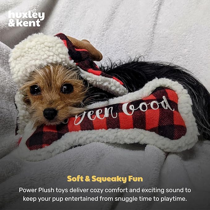 Huxley & Kent Funny Dog Toy w/Squeaker – Holiday Power Plush Squeaky Dog Toys for Small, Medium & Large Dogs – Soft Stuffed Animal for Indoor Play & Fetch - I've Been Good Bone, Small