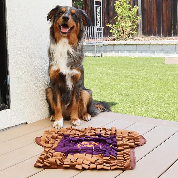 Wagorific Snuffle Mat for Dogs Toast PB&J, Large Dog Snuffle Mat 21” x 23”, Plush Enrichment Toy Slow Feeder Mental Health to Keep Them Busy, Machine Washable, Snuffle Mat for All Breeds Sizes