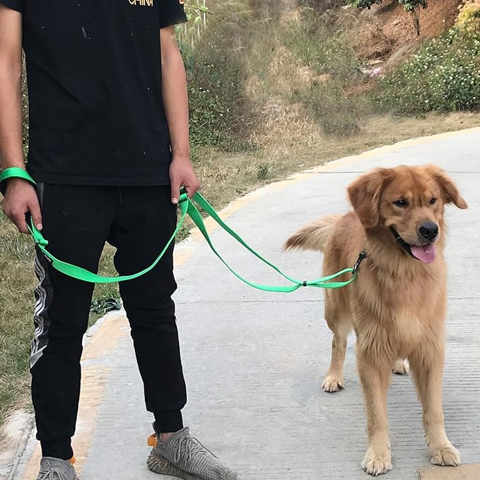 Hyhug Nylon Adjustable 4-6ft Dog Leash with Soft Neoprene Padded Handle, Durable Heavy Duty Leash with Easy-to-Use Bolt Snap, Ideal for Jogging Outdoor