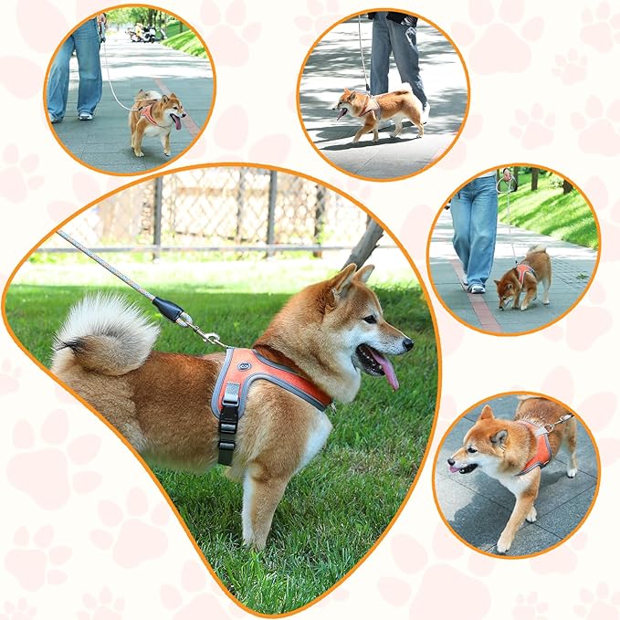 Dog Harness and Leash Set, No Pull Saddle Style Pet Harness, Breathable Mesh Adjustable Reflective Dog Vest for Dogs and Cat Medium Small Harness 2 D-Rings, Orange, L
