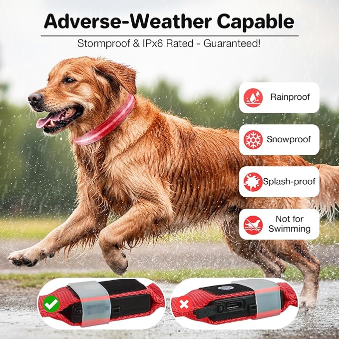 Fiveda Light Up Dog Collar, USB Rechargeable 6 Modes, Waterproof Charging Port, Long Lasting LED Collar - Adjustable Nylon Reflective for Dogs, Sizes S/M/L (7/9/11 Lights) - Red, M