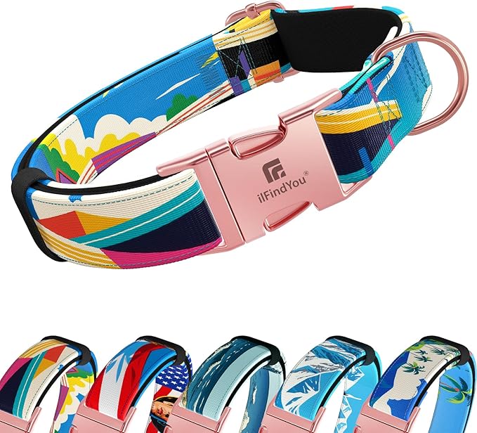 Dog Collar for Medium Dogs, Detroit Landscape Pattern, Heavyweight Polyester Adjustable Puppy Collar with Secure Metal Buckle，Suitable for Female Dogs M