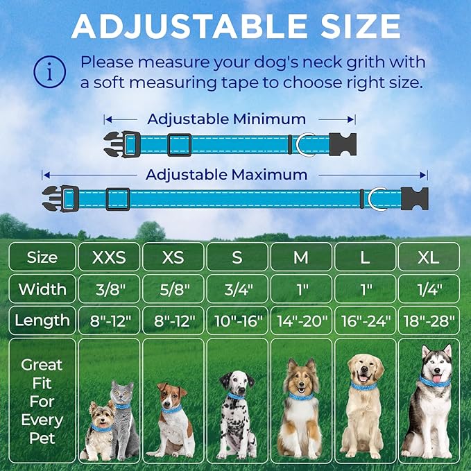 TECEUM Reflective Dog Collar – Sky Blue – M – Basic Nylon Pet Collar – Quick Release Buckle – Fits Small, Medium and Large Dogs, Puppies, Cats – ESA & Service Dog Options
