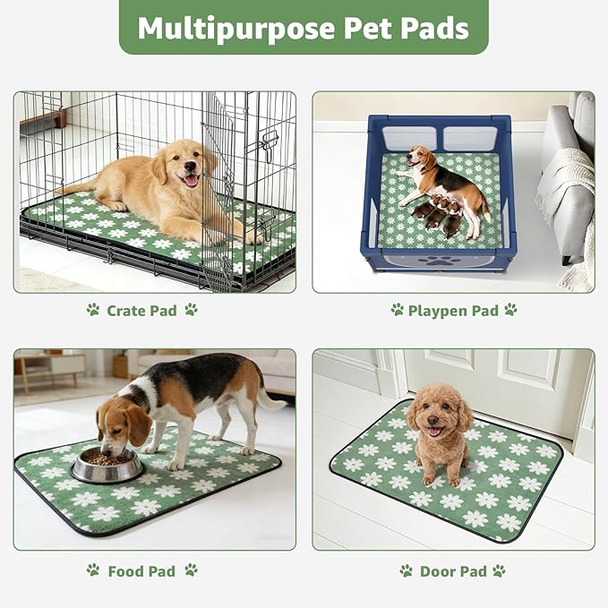LOOBANI Extra Large Whelping Pad, Non-Slip Dog Pee Pads Washable, Fast Absorbent Reusable Pee Pads for Dogs, Waterproof and Leakproof Dog Playpen Mat for Floor, Crate, Potty (48"x48",2 Packs)