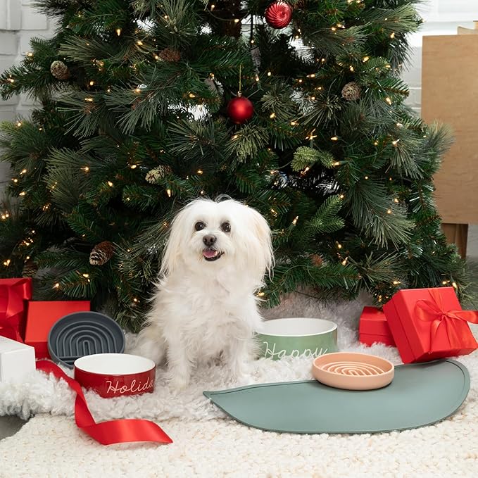Should We Go? - Waterproof Silicone Pet Food Mat - Non-Slip, Spill-Proof Feeding Mats for Floors, Raised Edge Design, Easy-to-Clean, Rubber Mat for Dog & Cat Bowls, 28" Across x 14" Deep, Large-Honey