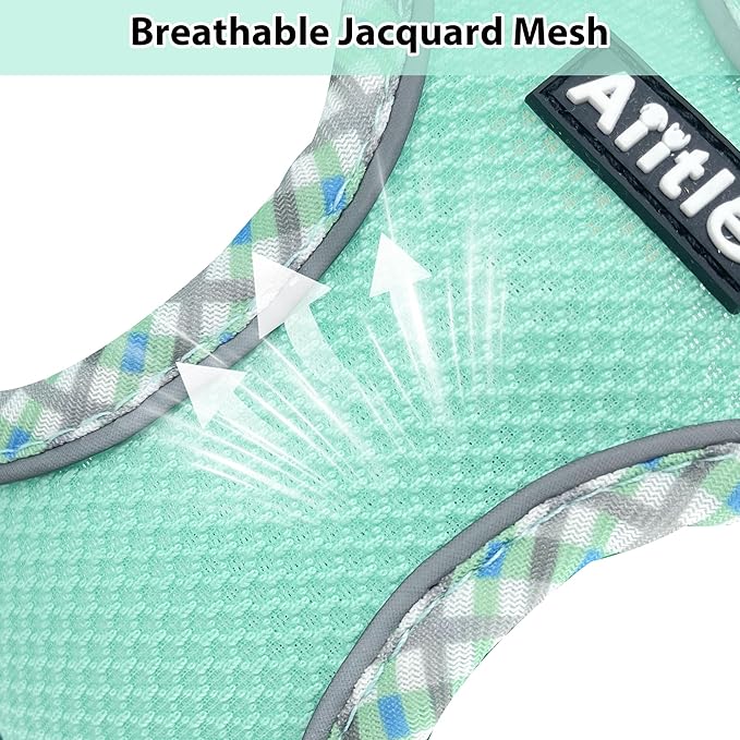 AIITLE Dog Harness and Leash Set - Ultra-Comfortable XXS-XL Vest with Strong Magic Tape & Glow-in-Dark Reflective Strips, Chafe-Free for Teddy, Schnauzer (Sage, M)