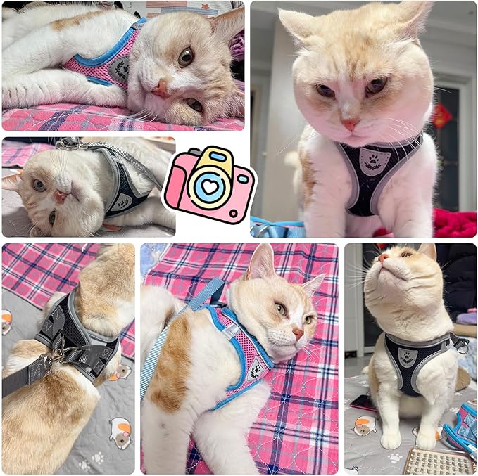 SCENEREAL Cat Harness and Leash Set for Walking Escape Proof, Adjustable Harness for Kitten Puppy Small Medium Large Cats, Reflective Soft Mesh Small Cat Harness, Comfort Fit, Easy Control