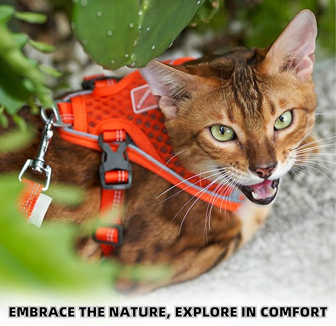 Cat Harness and Leash Set for Comfortable Outdoor Walking, Escape Proof, Adjustable Soft Kitten Vest Harness with Reflective Strip for Cats, Small Dogs (Pink Green, S)