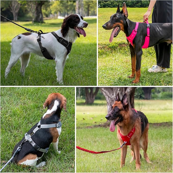 Plutus Pet No Pull Dog Harness, Reflective Adjustable Dog Vest Harness with Handle, Escape Proof, Soft Padded for Small Medium Large Dogs (Hot Pink, M)
