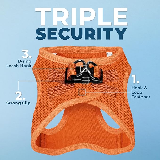 Best Pet Supplies Voyager Step-in Air Harness - All Weather Mesh, Reflective, No Pull Harness for Dogs, Cats - Secure with Hook & Loop Fastener, Buckle, Double D-Rings - Orange, XXXS