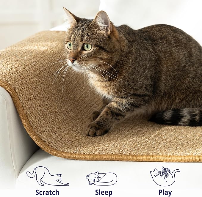 Cat Wall Climbing Carpet - Cat Wall Climber 67" x 17.5" with Fixed Nails – Scratching Rug Wall Scratchers for Indoor Cats | Climbing Wall Carpet | Scratching Mat.