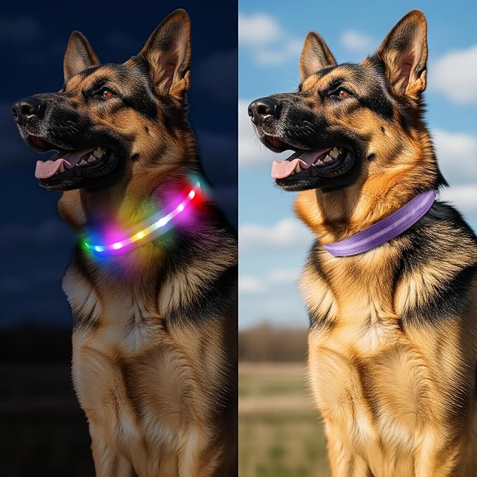 Fiveda Light Up Dog Collar, USB Rechargeable 6 Modes, Waterproof Charging Port, Long Lasting LED Collar - Adjustable Nylon Reflective for Dogs, Sizes S/M/L (7/9/11 Lights) - Purple, S