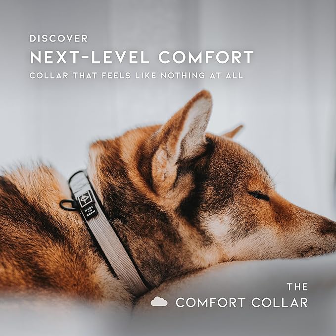 MADE TO ROAM Comfort Collar - Adjustable Nylon Dog Collar with Soft Comfortable Padding, Light Aviation Aluminum Metal Buckle for Small, Medium and Large Dogs (Oregon Haze, Size 2)