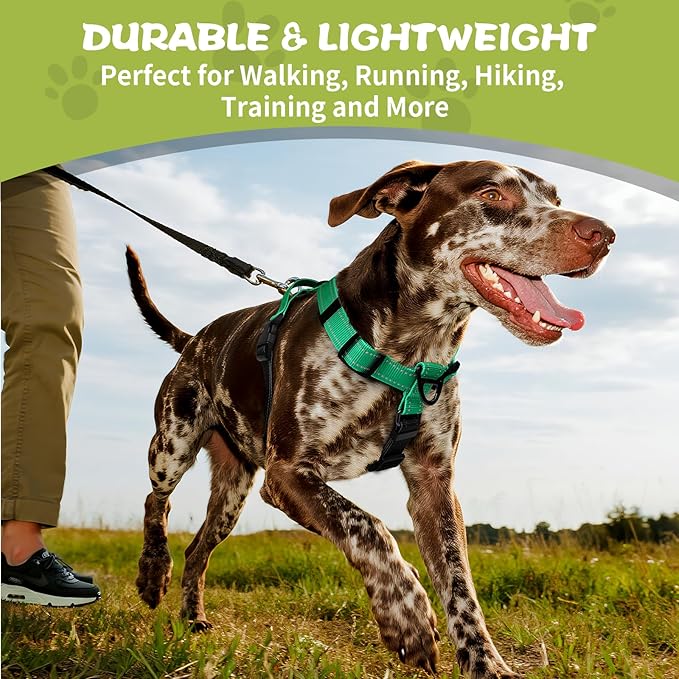 Dog Harness,Adjustable No Pull Dog Harness,Y-Shaped Design,Buckle-Neck Balance Harness with Reflective, Ideal for Dog Training Hiking, Easy Walk Harness,Durable High-Tensile Nylon Aqua Green-S