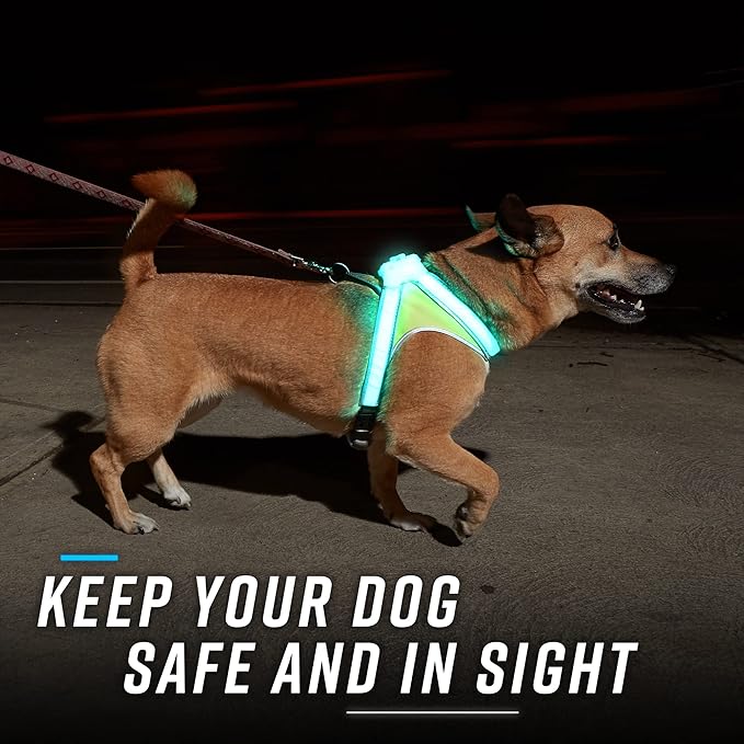 Noxgear LightHound (Medium) + High-Visibility Dog Leash – Illuminated and Reflective Harness for Dogs Including Multicolored LED Fiber Optics (USB Rechargeable, Adjustable, Lightweight, Rainproof)