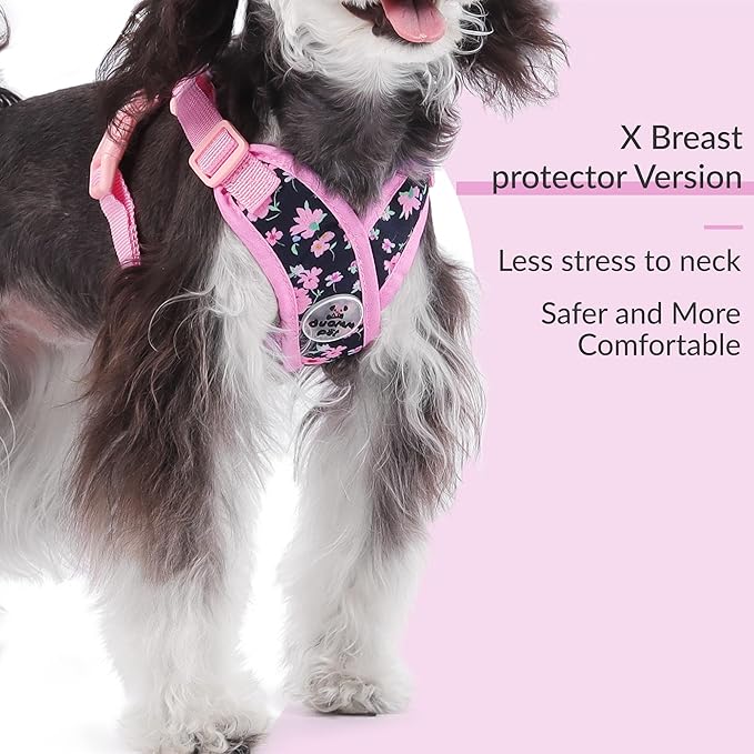 Patas Lague Dog Harness with Leash Set Adjustable Soft Padded Step-in Dog Vest No Choke No Pull Reflective for Small Medium Pets with Poop Bags and Dispenser, Solid and No-chew, Floral Pink S