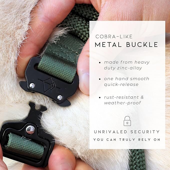 Made to ROAM Premium Dog Collar - Adjustable Heavy Duty Nylon Collar with Quick-Release Metal Buckle (Vermont Weekends, Classic Size 2)