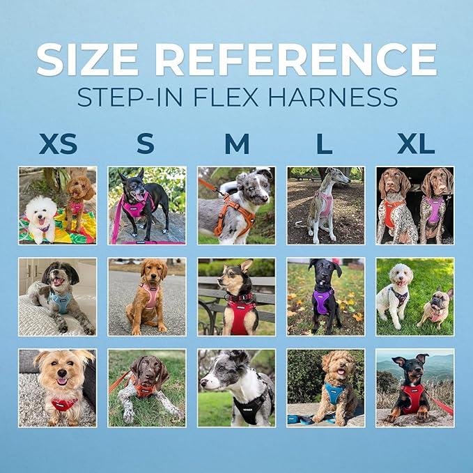 Best Pet Supplies Voyager Mesh Dog Breathable Harness Reflective Stitching, All Weather Adjustable for Walking Training, or Running - Heavy Duty & Durable, Harness Leash Set (Pink), S