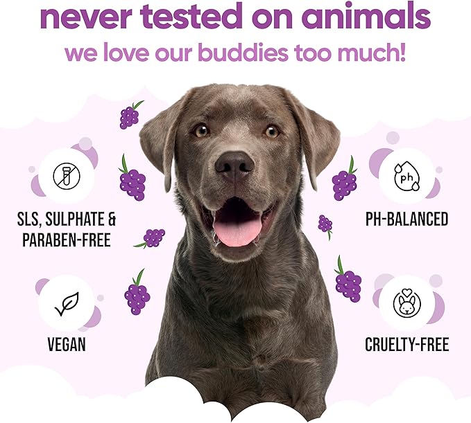 Grape Dog Shampoo by Buddycare | with Aloe Vera and Pro Vitamin B5 (50.72oz)