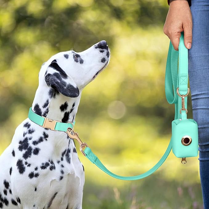 PET ARTIST Soft PU Leather Dog Collar, Bright Color & Durable Dog Collar Leather with Rose Gold Quick Release Metal Buckle, Adjustable Nylon Padded Pet Collars for Medium Dogs, Neck Fit 13-19"