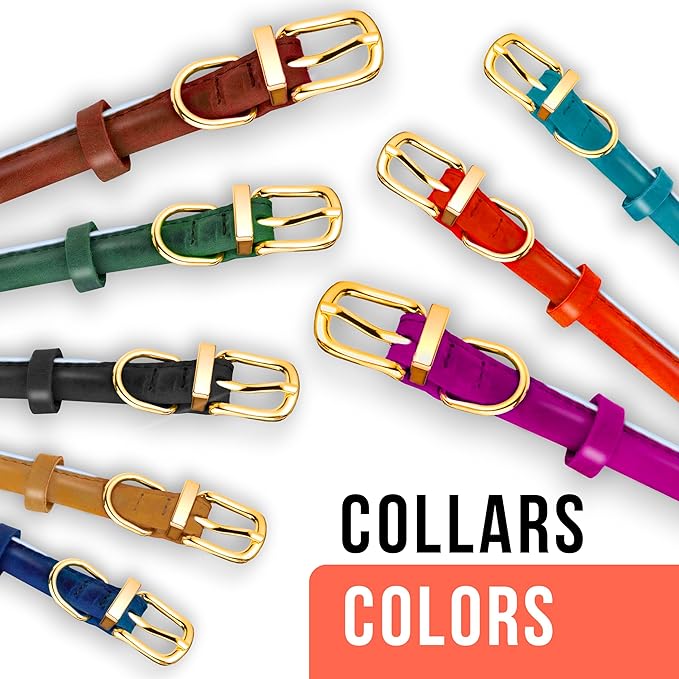 OOPSDOGGY Reflective Rolled Leather Dog Collar Adjustable Soft Padded Pet Collar for Small Medium Large Breed Dogs (Teal, M, 12"-15")