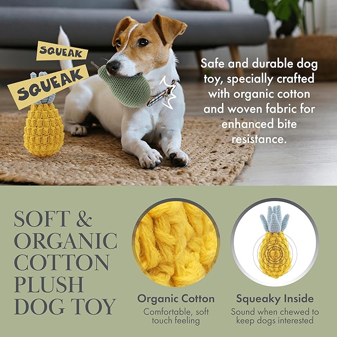 Nina Woof Organic Cotton Dog Toys Pack – Handmade Squeaky Plush Puppy Toys for Small and Medium Dogs, Eco Friendly Teething Accessories, Natural Pet Gift Set with Cute Fruit and Veggie Designs