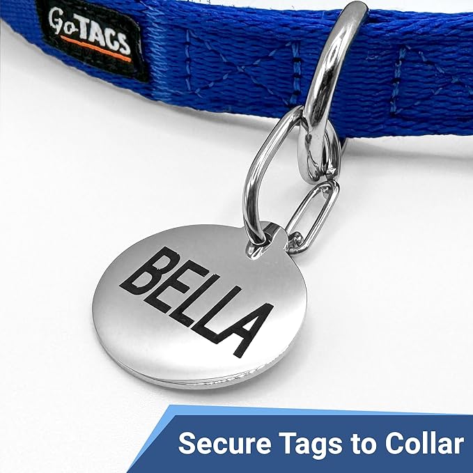 GoTags Pet ID Dog Tag Clip, Strong Durable Dog and Cat Tag Connector, Quick Clip to Pet Collars, Easy Upgrade for Split Ring, Mini Carabiner Made of Stainless Steel, Pack of 1