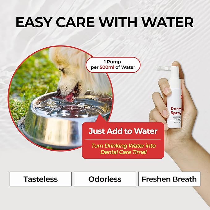 JAYU PET Dental Spray for Dogs & Cats, Tartar Control & Fresh Breath, No Brushing Needed, Protects Teeth & Gums, Easy Daily Oral Care, 1 fl oz