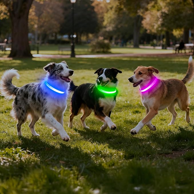 VIZPET LED Dog Collar, Light Up Dog Collar Adjustable USB Rechargeable Super Bright Safety Light Glowing Collars for Dogs (Purple, X-Large[22.83-27.55 inch/58-70cm])