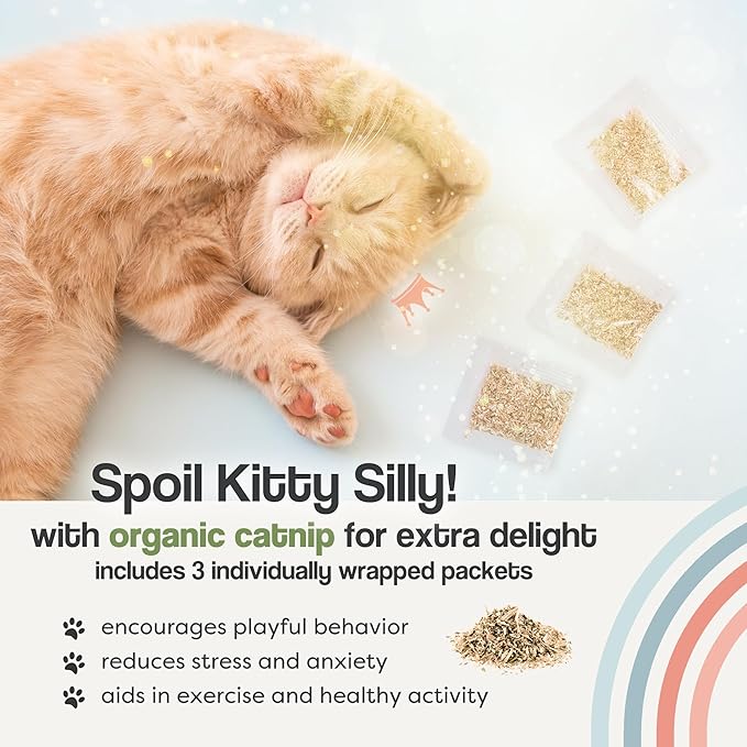 The Cat Park Silvervine Sticks for Cats 5 Pcs, Natural Catnip Cat Chew Toys for Indoor Cat Teeth Cleaning, Aggressive Chewers, Kitten Teething Matatabi Chew Stick Cat Toys, Silvervine for Cats
