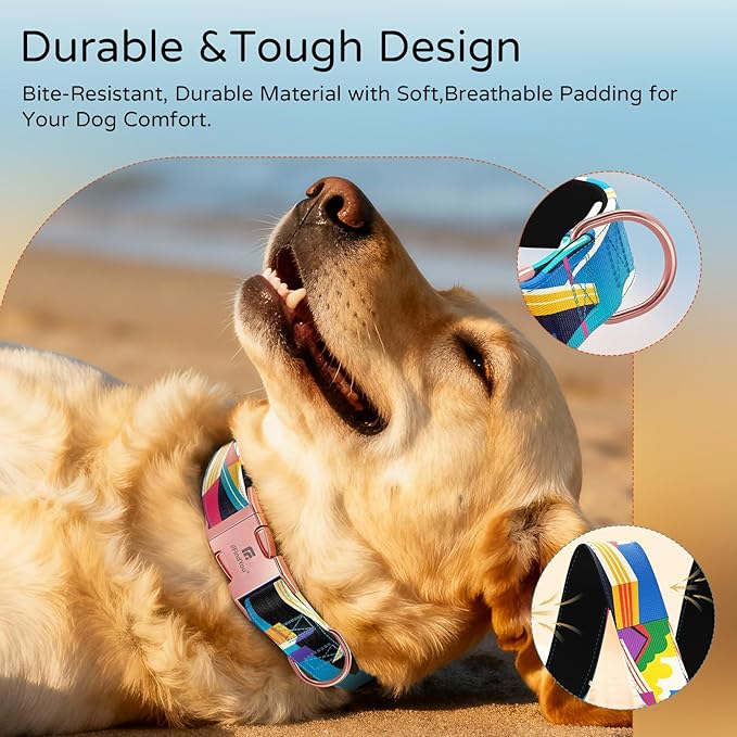 Dog Collar for Medium Dogs, Detroit Landscape Pattern, Heavyweight Polyester Adjustable Puppy Collar with Secure Metal Buckle，Suitable for Female Dogs M