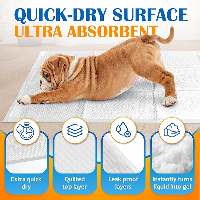 Paws & Claws Premium Disposable Dog & Puppy Pee Pads – Small 17"x20", 50 Count – 6-Layer Leak‑Proof, Super Absorbent (Holds 4 Cups), Quick‑Drying – for Small Dogs, Puppies, Seniors & Potty Training