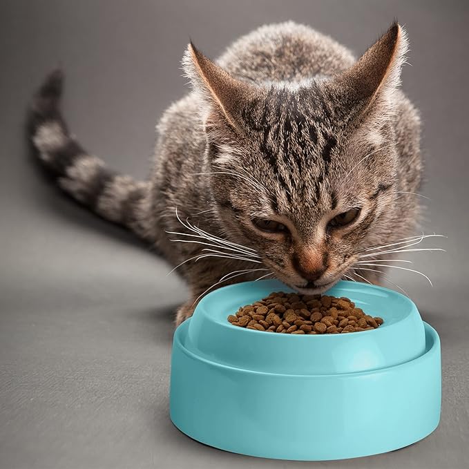 CatGuru Cat Bowls, Whisker Friendly Food Bowl for Indoor Cats, Reliefs Whisker Fatigue, Wide Kitten Dish, Non Slip Pet Dishes, Shallow Pet Plates (Aruba, (Pack of 2))