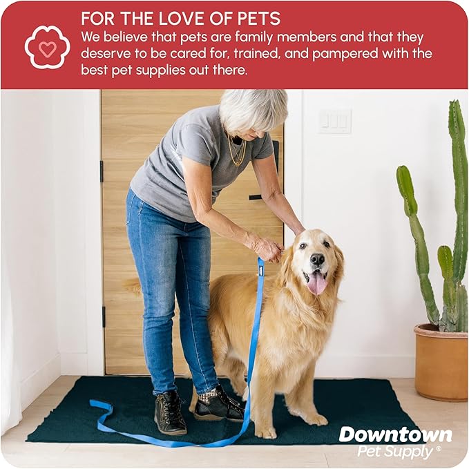 My Doggy Place Dog Mud Mat, 60" x 36" Teal – Thick Microfiber Entry Rug for Snow, Mud & Salt – Absorbent, Quick-Dry, Washer-Safe & Non-Slip, X-Large