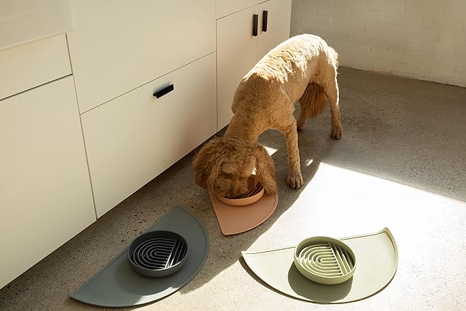 Should We Go? Waterproof Silicone Pet Food Mat - Non-Slip, Spill-Proof Feeding Mats for Floors, Raised Edge Design, Easy-to-Clean Mat for Dog & Cat Bowls, 21" Across x 10.5" Deep, Medium-Charcoal