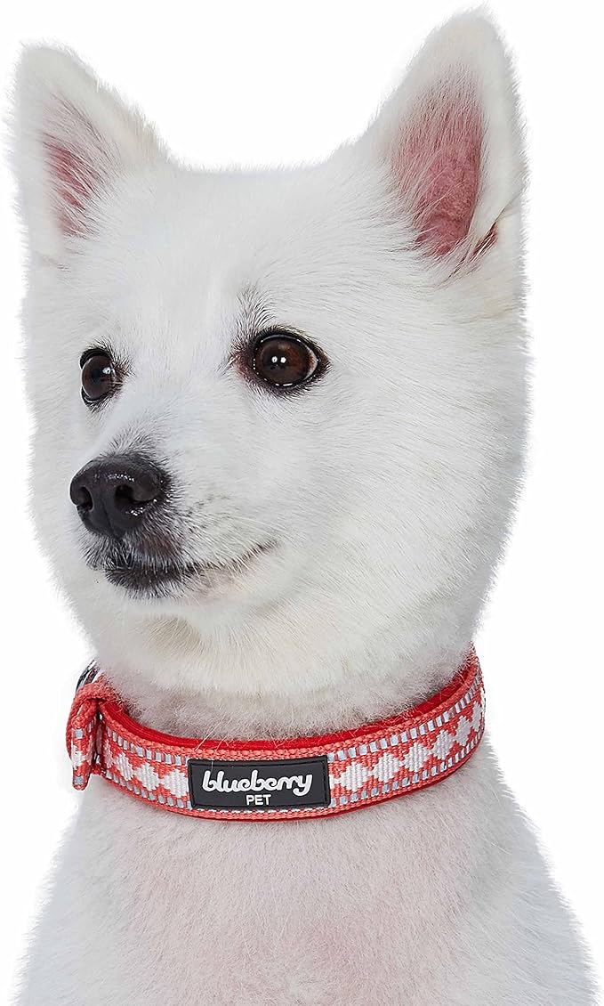 Blueberry Pet Reflective Jacquard Dog Collar with Neoprene Padding & Metal Buckle | Soft & Adjustable Safety Collar - Coral, Neck 9-12.5", for Small Breed