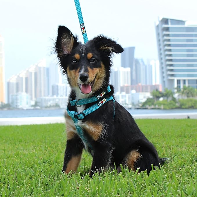 Pawtitas Recycled Reflective Step-in Dog Harness – Adjustable No-Pull Vest for Puppies to Seniors, Safe & Comfortable XS Green